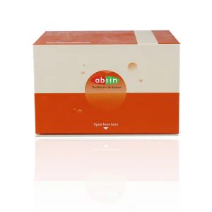 Mouse IL-6 ELISA Kit