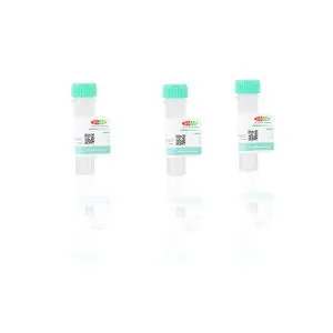Recombinant Human UBE2M #abs01255