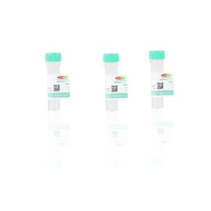 Recombinant Rat IL-3β #abs01052