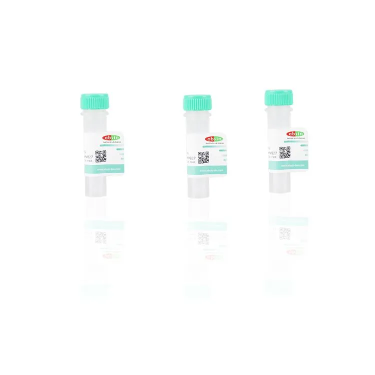 10%SDS Sodium Dodecyl Sulfate Solution
