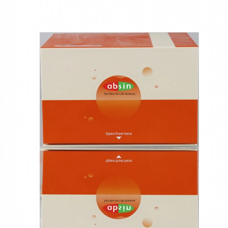 Mouse IL-2 High Sensitivity ELISA Kit