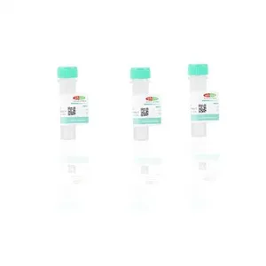 Antibody Diluent For WB